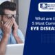 What are the common eye diseases