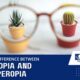 Difference between Myopia and Hyperopia?